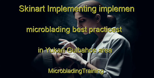 Skinart Implementing implemen microblading best practicest in Yukari Gulbahce area | #MicrobladingTraining #MicrobladingClasses #SkinartTraining-Turkey