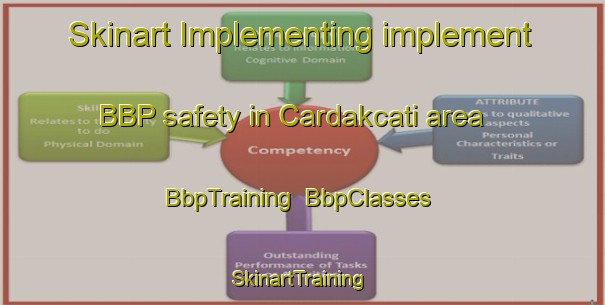 Skinart Implementing implement BBP safety in Cardakcati area | BbpTraining | BbpClasses | SkinartTraining-Turkey