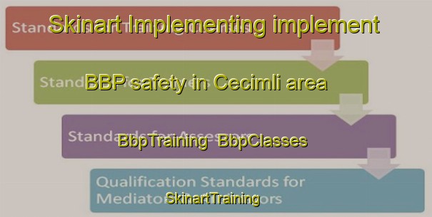 Skinart Implementing implement BBP safety in Cecimli area | BbpTraining | BbpClasses | SkinartTraining-Turkey