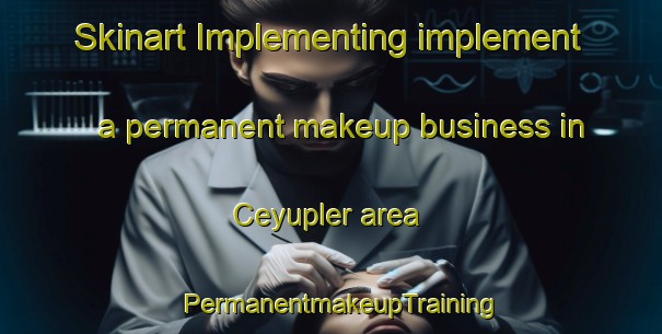Skinart Implementing implement a permanent makeup business in Ceyupler area | PermanentmakeupTraining | PermanentmakeupClasses | SkinartTraining-Turkey