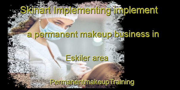Skinart Implementing implement a permanent makeup business in Eskiler area | PermanentmakeupTraining | PermanentmakeupClasses | SkinartTraining-Turkey
