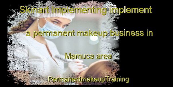 Skinart Implementing implement a permanent makeup business in Mamuca area | PermanentmakeupTraining | PermanentmakeupClasses | SkinartTraining-Turkey