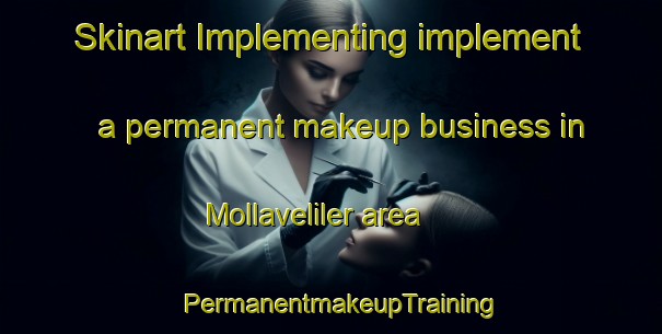 Skinart Implementing implement a permanent makeup business in Mollaveliler area | PermanentmakeupTraining | PermanentmakeupClasses | SkinartTraining-Turkey