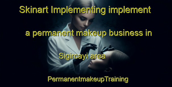 Skinart Implementing implement a permanent makeup business in Sigircayi area | PermanentmakeupTraining | PermanentmakeupClasses | SkinartTraining-Turkey
