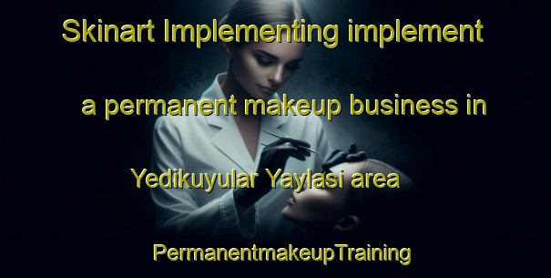 Skinart Implementing implement a permanent makeup business in Yedikuyular Yaylasi area | PermanentmakeupTraining | PermanentmakeupClasses | SkinartTraining-Turkey