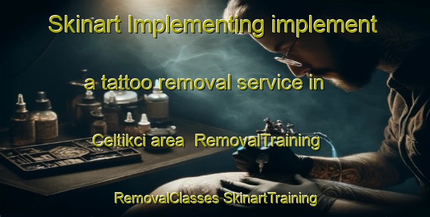 Skinart Implementing implement a tattoo removal service in Celtikci area | #RemovalTraining #RemovalClasses #SkinartTraining-Turkey