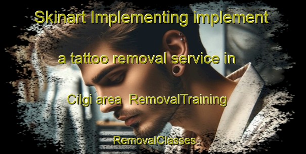 Skinart Implementing implement a tattoo removal service in Cilgi area | RemovalTraining | RemovalClasses | SkinartTraining-Turkey
