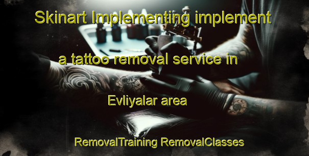 Skinart Implementing implement a tattoo removal service in Evliyalar area | #RemovalTraining #RemovalClasses #SkinartTraining-Turkey