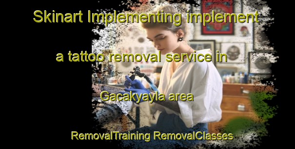 Skinart Implementing implement a tattoo removal service in Gacakyayla area | #RemovalTraining #RemovalClasses #SkinartTraining-Turkey