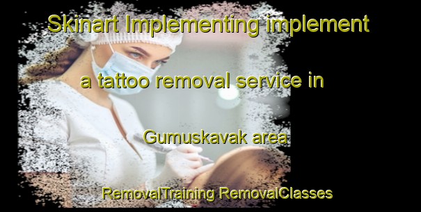 Skinart Implementing implement a tattoo removal service in Gumuskavak area | #RemovalTraining #RemovalClasses #SkinartTraining-Turkey