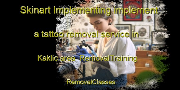 Skinart Implementing implement a tattoo removal service in Kaklic area | RemovalTraining | RemovalClasses | SkinartTraining-Turkey