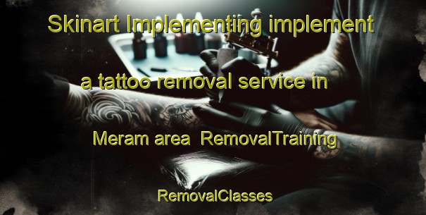 Skinart Implementing implement a tattoo removal service in Meram area | RemovalTraining | RemovalClasses | SkinartTraining-Turkey