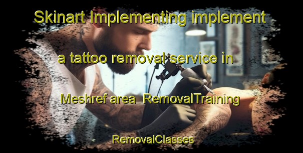 Skinart Implementing implement a tattoo removal service in Meshref area | RemovalTraining | RemovalClasses | SkinartTraining-Turkey