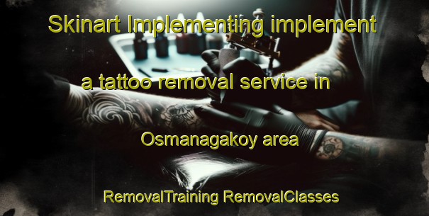 Skinart Implementing implement a tattoo removal service in Osmanagakoy area | #RemovalTraining #RemovalClasses #SkinartTraining-Turkey