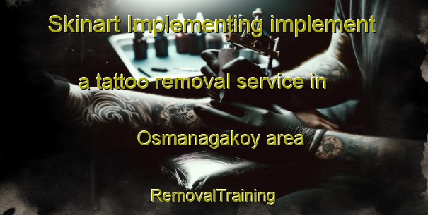 Skinart Implementing implement a tattoo removal service in Osmanagakoy area | RemovalTraining | RemovalClasses | SkinartTraining-Turkey