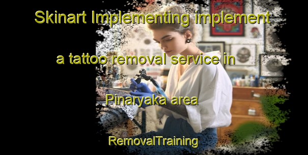 Skinart Implementing implement a tattoo removal service in Pinaryaka area | RemovalTraining | RemovalClasses | SkinartTraining-Turkey