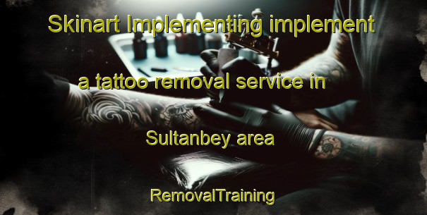 Skinart Implementing implement a tattoo removal service in Sultanbey area | RemovalTraining | RemovalClasses | SkinartTraining-Turkey