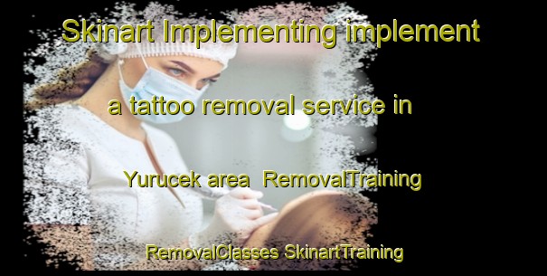 Skinart Implementing implement a tattoo removal service in Yurucek area | #RemovalTraining #RemovalClasses #SkinartTraining-Turkey