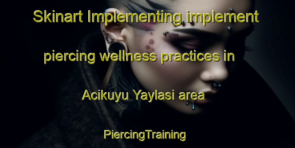 Skinart Implementing implement piercing wellness practices in Acikuyu Yaylasi area | #PiercingTraining #PiercingClasses #SkinartTraining-Turkey