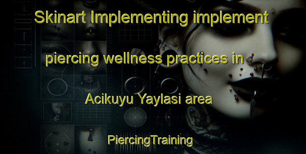 Skinart Implementing implement piercing wellness practices in Acikuyu Yaylasi area | #PiercingTraining #PiercingClasses #SkinartTraining-Turkey