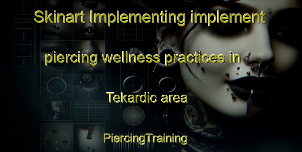 Skinart Implementing implement piercing wellness practices in Tekardic area | PiercingTraining | PiercingClasses | SkinartTraining-Turkey