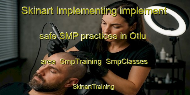 Skinart Implementing implement safe SMP practices in Otlu area | SmpTraining | SmpClasses | SkinartTraining-Turkey
