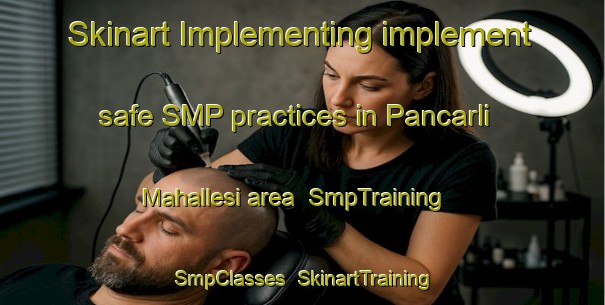 Skinart Implementing implement safe SMP practices in Pancarli Mahallesi area | SmpTraining | SmpClasses | SkinartTraining-Turkey
