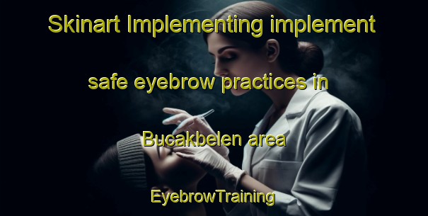 Skinart Implementing implement safe eyebrow practices in Bucakbelen area | EyebrowTraining | EyebrowClasses | SkinartTraining-Turkey