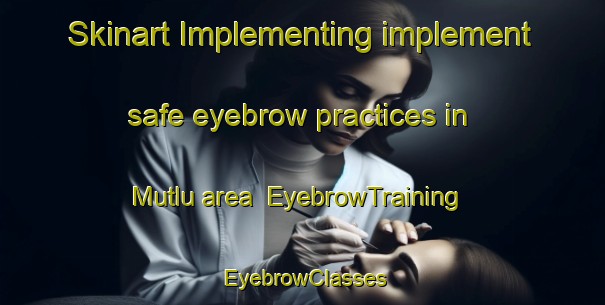 Skinart Implementing implement safe eyebrow practices in Mutlu area | EyebrowTraining | EyebrowClasses | SkinartTraining-Turkey