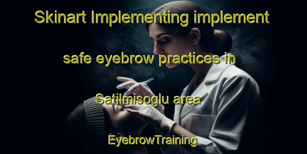Skinart Implementing implement safe eyebrow practices in Satilmisoglu area | EyebrowTraining | EyebrowClasses | SkinartTraining-Turkey