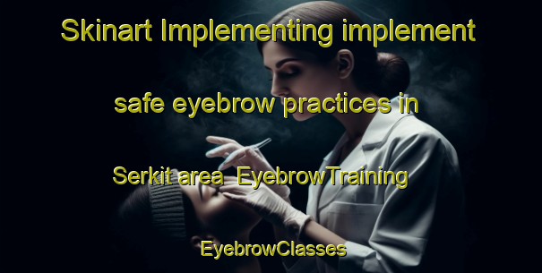 Skinart Implementing implement safe eyebrow practices in Serkit area | EyebrowTraining | EyebrowClasses | SkinartTraining-Turkey