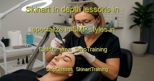 Skinart In-depth lessons in specialize in SMP styles in Elektrik area | SmpTraining | SmpClasses | SkinartTraining-Turkey