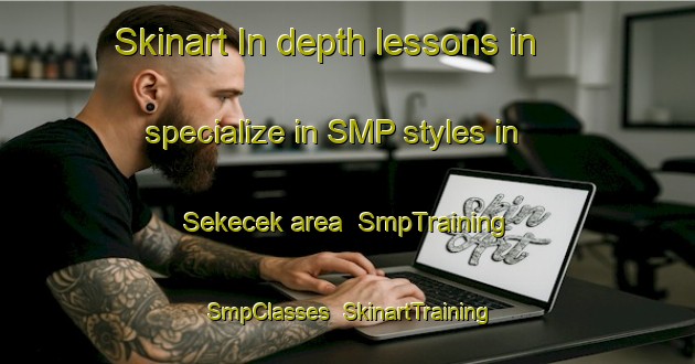 Skinart In-depth lessons in specialize in SMP styles in Sekecek area | SmpTraining | SmpClasses | SkinartTraining-Turkey