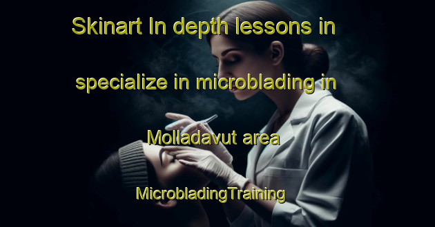 Skinart In-depth lessons in specialize in microblading in Molladavut area | MicrobladingTraining | MicrobladingClasses | SkinartTraining-Turkey