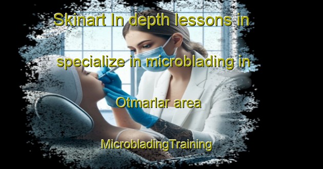 Skinart In-depth lessons in specialize in microblading in Otmarlar area | MicrobladingTraining | MicrobladingClasses | SkinartTraining-Turkey