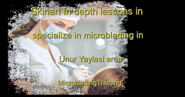 Skinart In-depth lessons in specialize in microblading in Unur Yaylasi area | MicrobladingTraining | MicrobladingClasses | SkinartTraining-Turkey