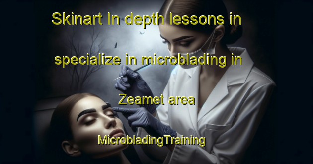 Skinart In-depth lessons in specialize in microblading in Zeamet area | MicrobladingTraining | MicrobladingClasses | SkinartTraining-Turkey