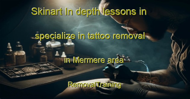Skinart In-depth lessons in specialize in tattoo removal in Mermere area | RemovalTraining | RemovalClasses | SkinartTraining-Turkey
