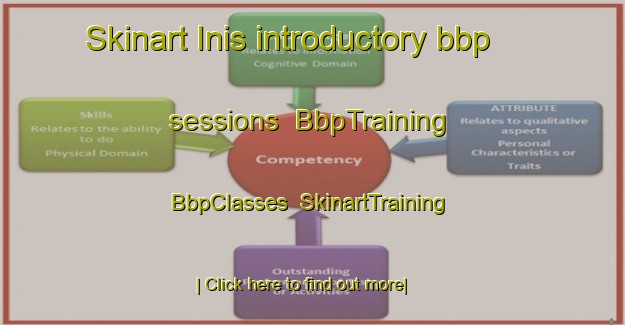 Skinart Inis introductory bbp sessions | BbpTraining | BbpClasses | SkinartTraining-Turkey