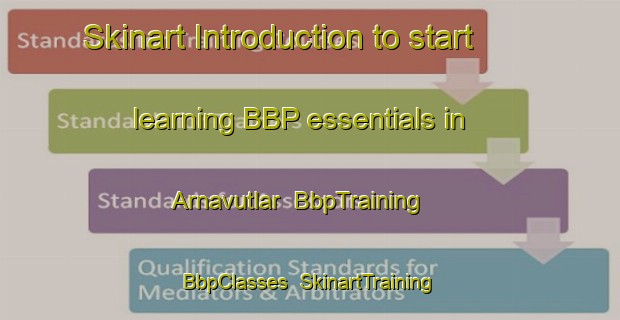 Skinart Introduction to start learning BBP essentials in Arnavutlar | BbpTraining | BbpClasses | SkinartTraining-Turkey