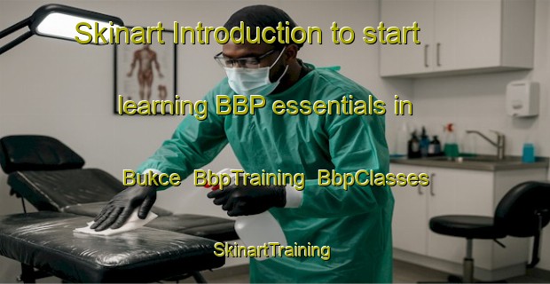 Skinart Introduction to start learning BBP essentials in Bukce | BbpTraining | BbpClasses | SkinartTraining-Turkey