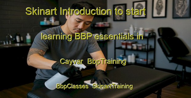 Skinart Introduction to start learning BBP essentials in Cayvar | BbpTraining | BbpClasses | SkinartTraining-Turkey