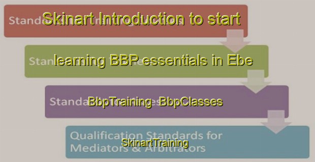 Skinart Introduction to start learning BBP essentials in Ebe | BbpTraining | BbpClasses | SkinartTraining-Turkey