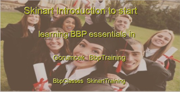 Skinart Introduction to start learning BBP essentials in Gorumcek | BbpTraining | BbpClasses | SkinartTraining-Turkey