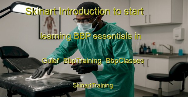 Skinart Introduction to start learning BBP essentials in Gulef | BbpTraining | BbpClasses | SkinartTraining-Turkey