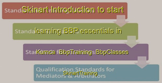 Skinart Introduction to start learning BBP essentials in Kumca | BbpTraining | BbpClasses | SkinartTraining-Turkey
