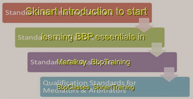 Skinart Introduction to start learning BBP essentials in Maralkoy | BbpTraining | BbpClasses | SkinartTraining-Turkey