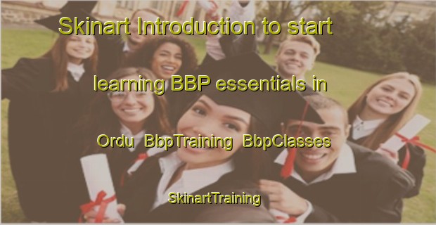 Skinart Introduction to start learning BBP essentials in Ordu | BbpTraining | BbpClasses | SkinartTraining-Turkey