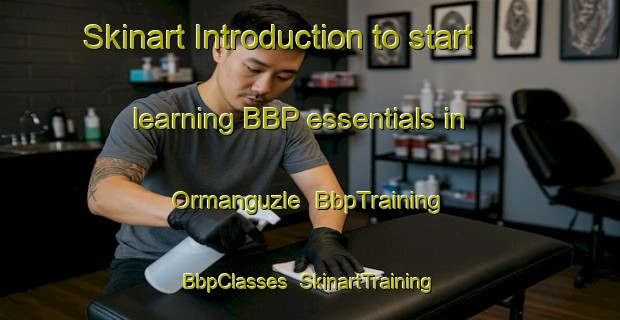 Skinart Introduction to start learning BBP essentials in Ormanguzle | BbpTraining | BbpClasses | SkinartTraining-Turkey