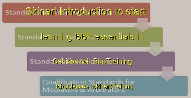 Skinart Introduction to start learning BBP essentials in Sehitkemal | BbpTraining | BbpClasses | SkinartTraining-Turkey